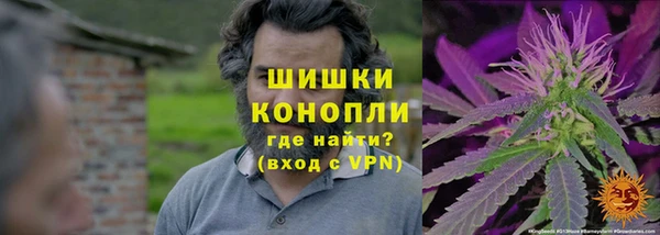 дживик Богданович