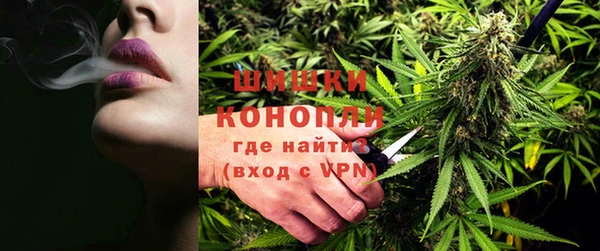 дживик Богданович