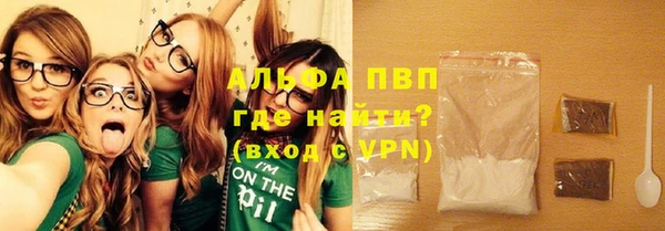 дживик Богданович