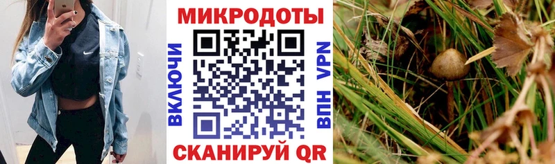 Псилоцибиновые грибы ЛСД  площадка как зайти  Курильск 